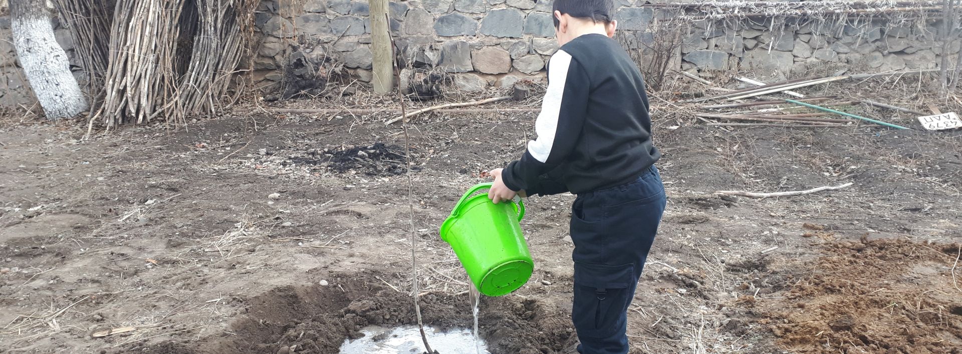 Հույսի տնկիներ