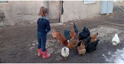 Առողջ սնունդ և հավելյալ եկամուտ