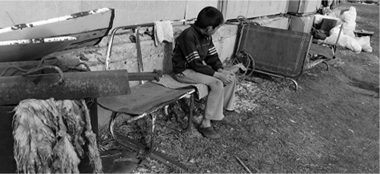 Օր 14 - «1 օր` 1 նվեր»