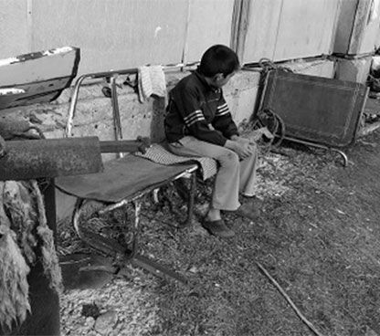 Օր 14 - «1 օր` 1 նվեր»